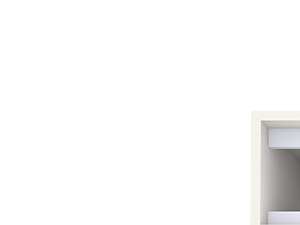 C1